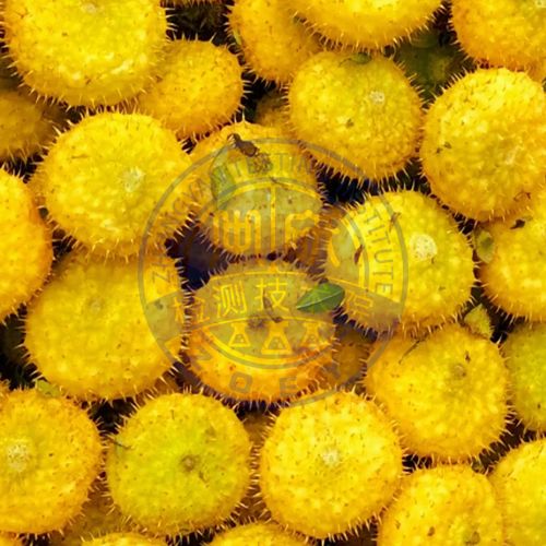 刺梨检测
